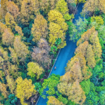 Challenge Family Plants Its Flag in Shanghai: Haiwan Town Set to Host World-Class Triathlon